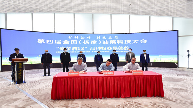 第四届全国（杨凌）油菜科技大会在陕西杨凌成功召开