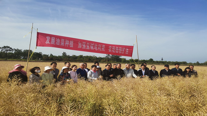 省油菜产业技术体系召开2023年关中油菜观摩暨研讨会
