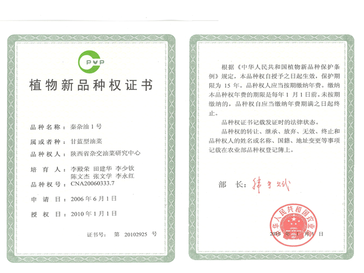 2006年秦杂油1号品种权证书.gif
