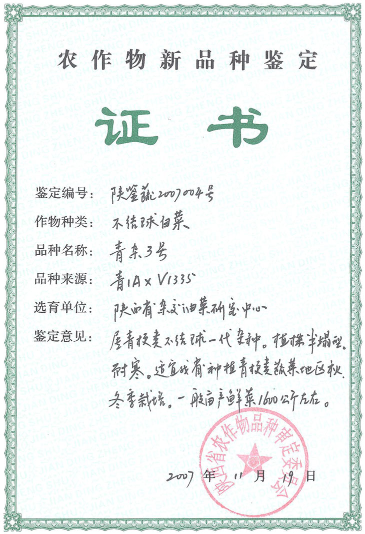 青杂3号.jpg