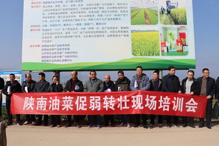 图片1_副本.png