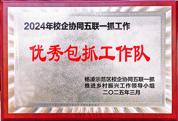 图片1_副本.png