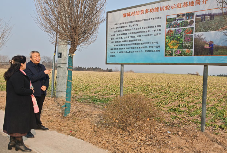 图片2_副本.png